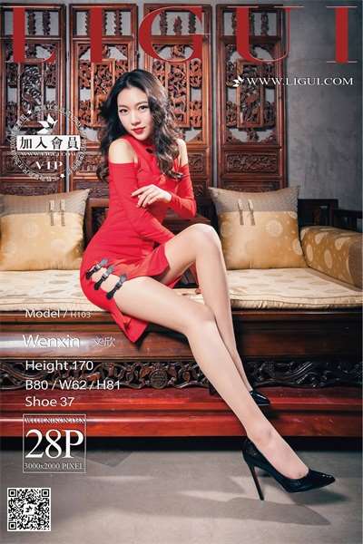 [Ligui丽柜]2017.01.27 网络丽人 文欣[28P/35MB]