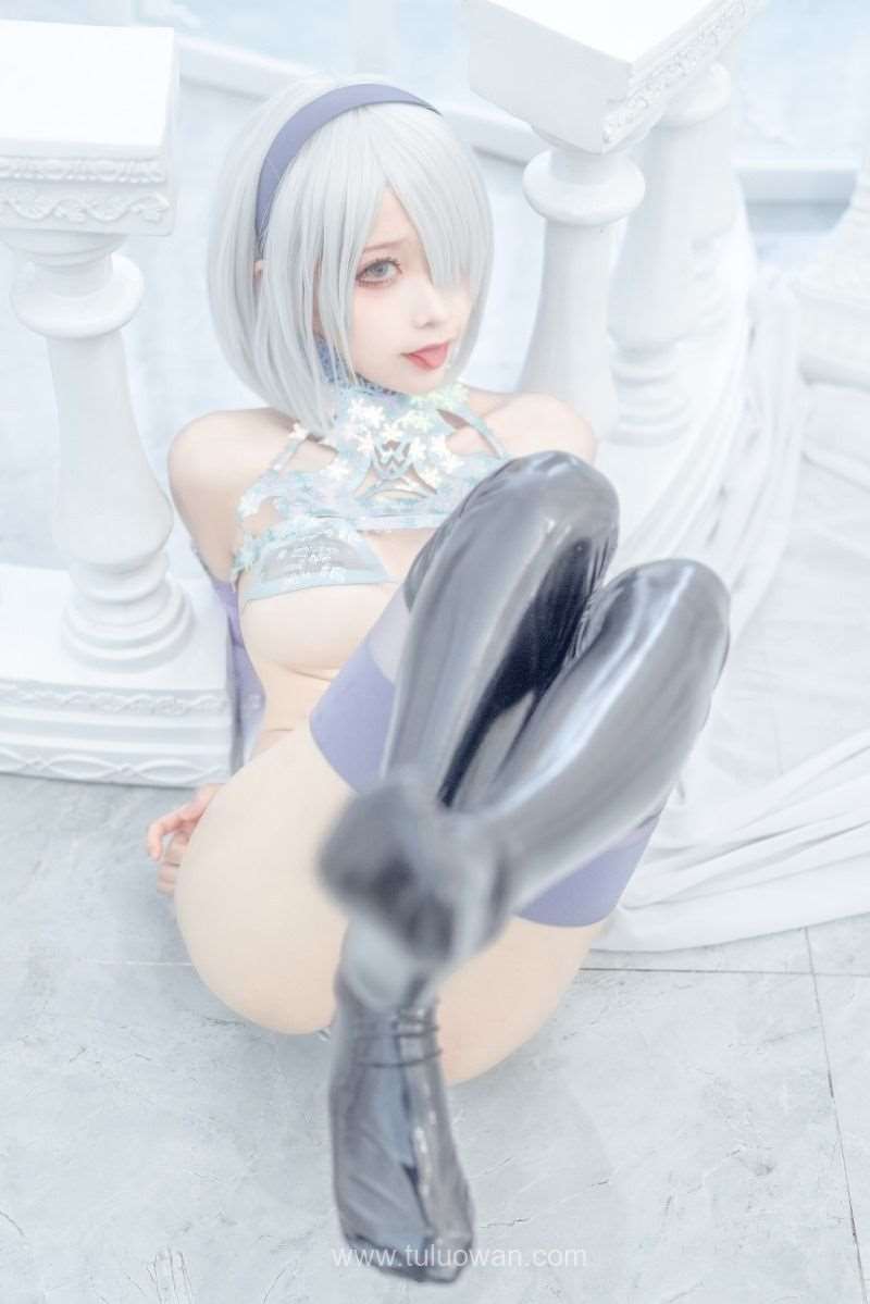 知名动漫博主@蠢沫沫 冰雪2B [35P/302MB]