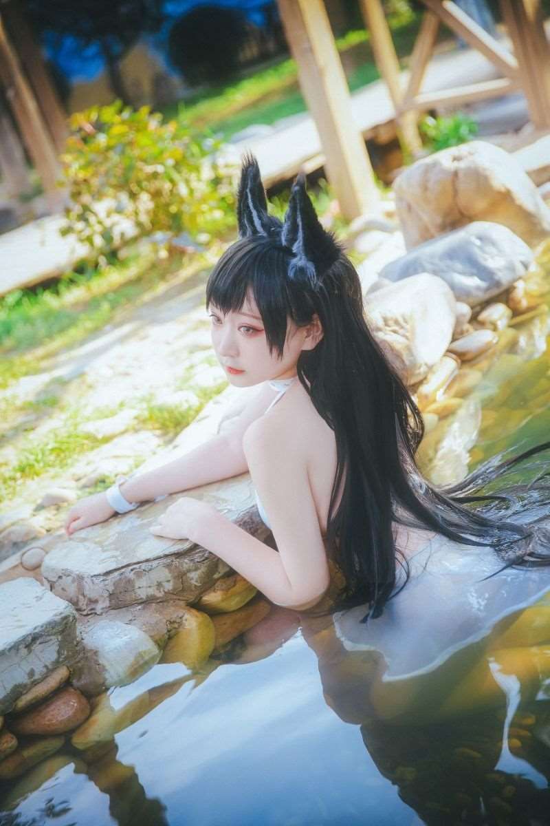 微博人气Coser@-桃夭葵- 犬泳衣 [15P/206MB]