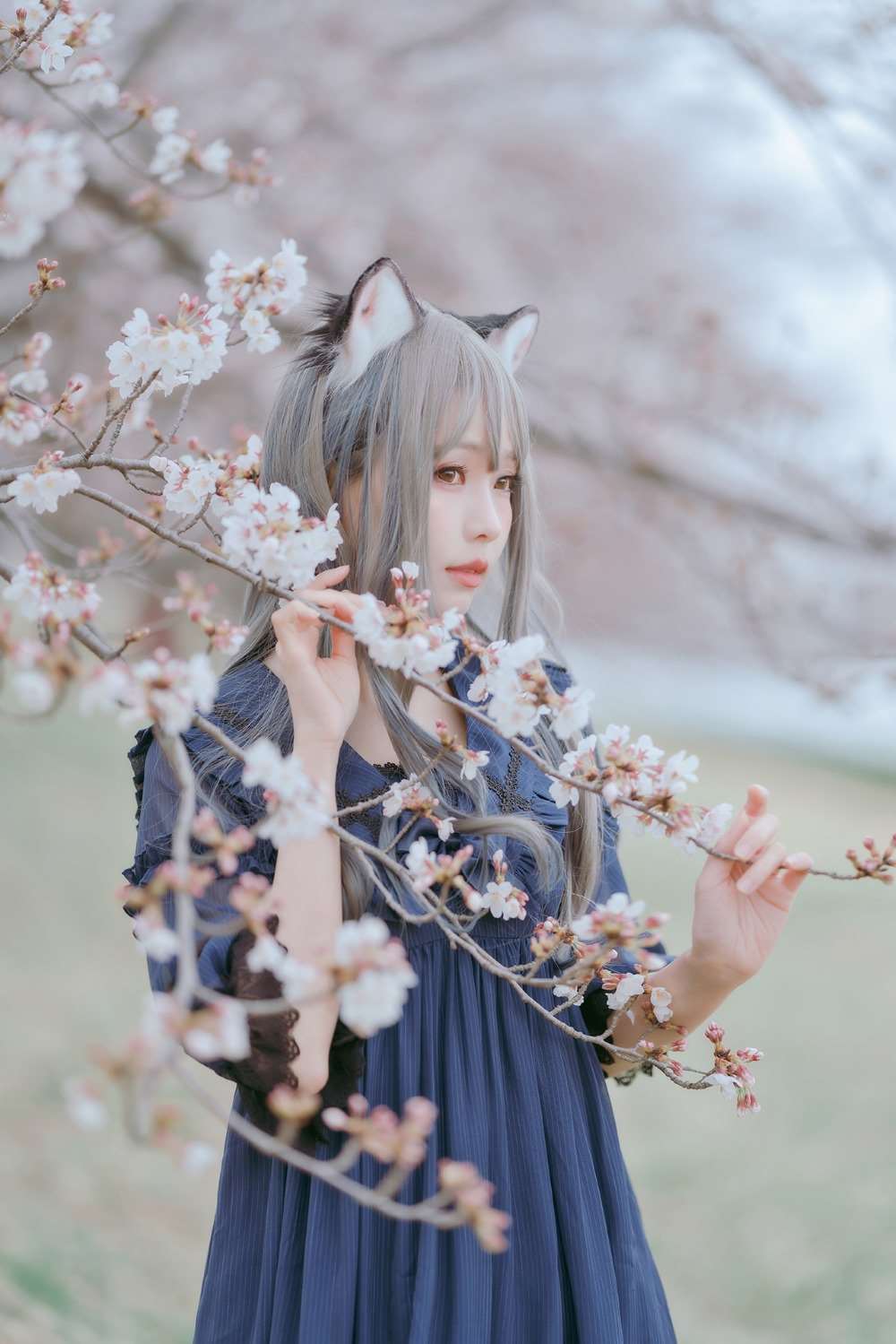 台湾Coser@ElyEE子 Sakura [64P/169MB]